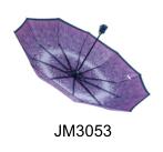 JM3053
